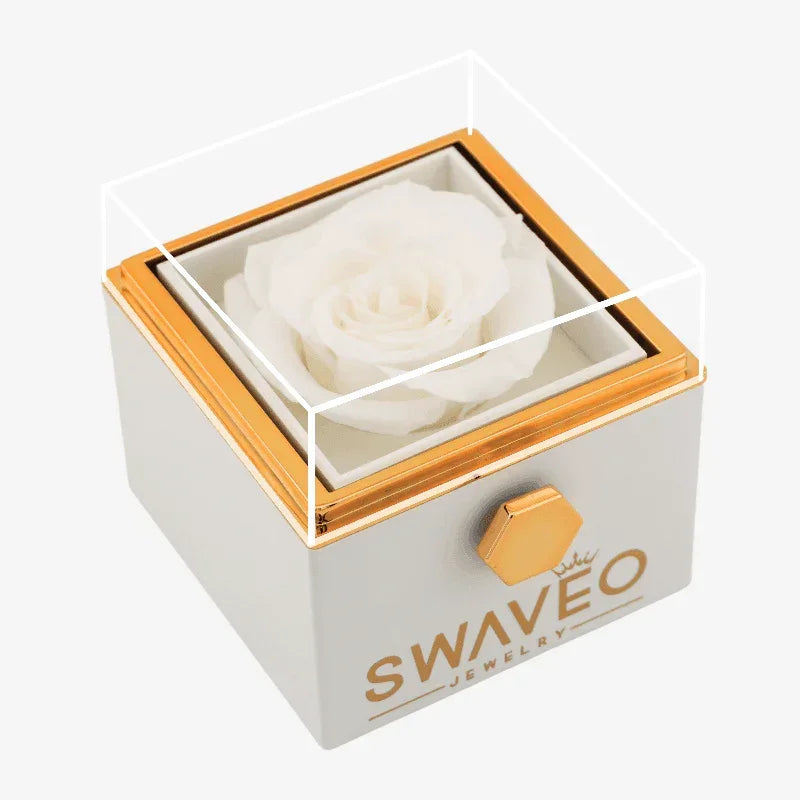 Senvoa white rose box with a white preserved rose under a clear cover.